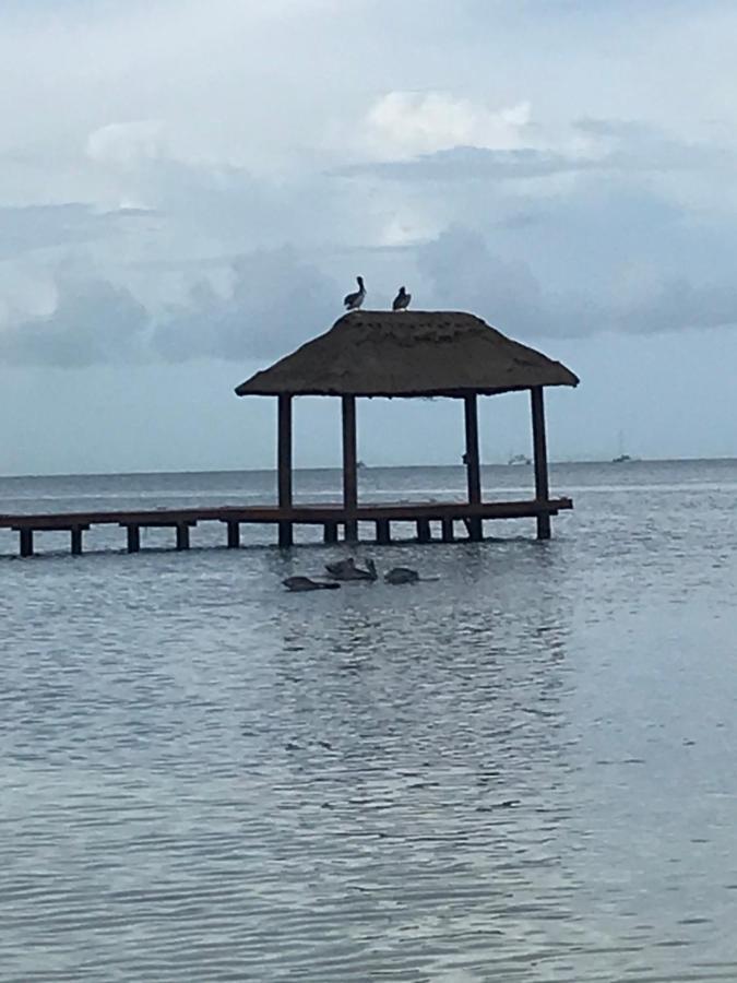 Front Beach Private Room With Shared Bathroom كانكون المظهر الخارجي الصورة