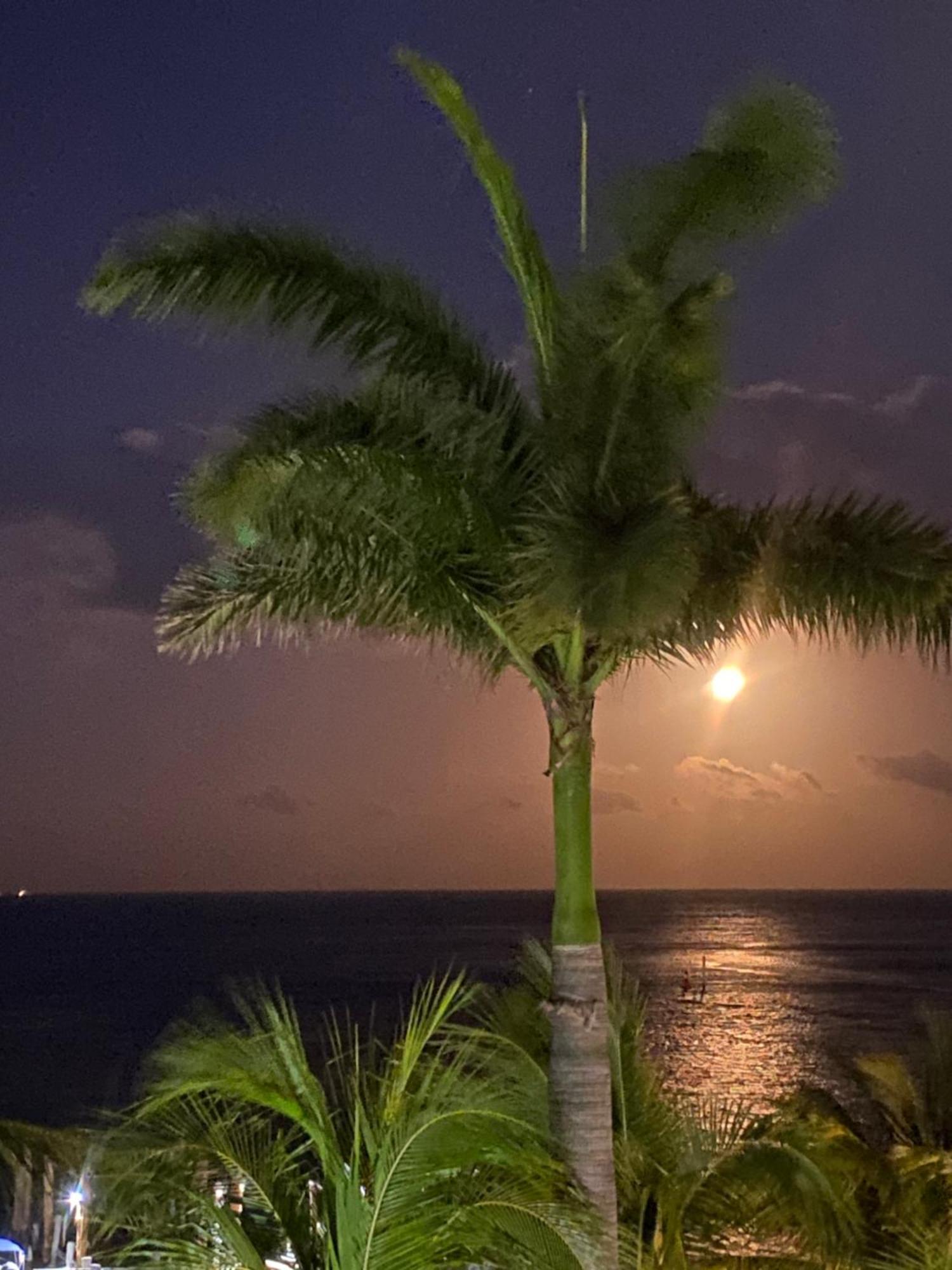 Front Beach Private Room With Shared Bathroom كانكون المظهر الخارجي الصورة